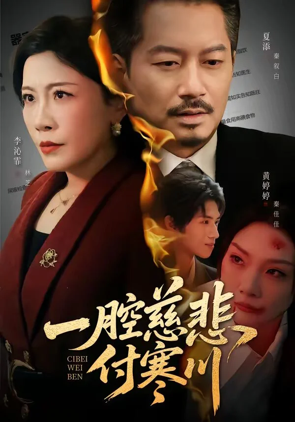 一腔慈悲付寒川 海报