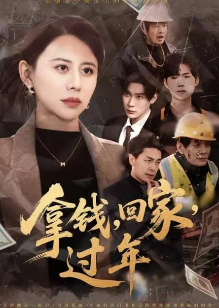 拿钱，回家，过年 海报