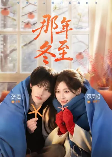 那年冬至 海报