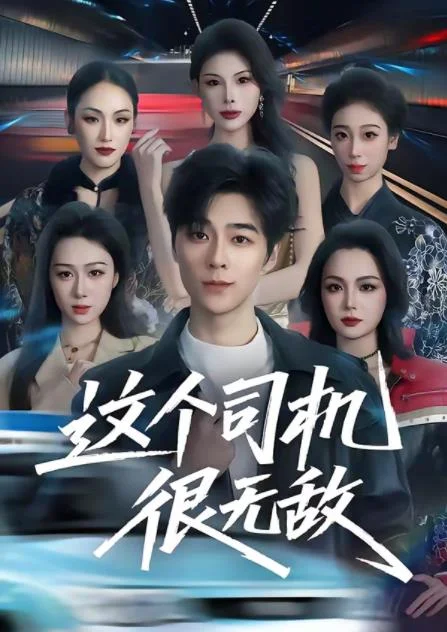 这个司机很无敌 海报