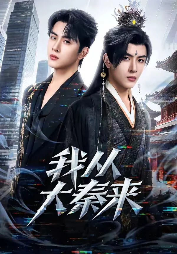 我从大秦来 海报