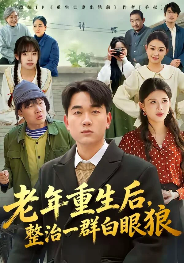老年重生后，整治一群白眼狼 海报