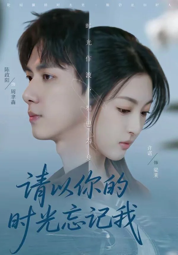 请以你的时光忘记我 海报