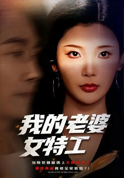 我的老婆女特工 海报