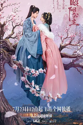昭阳公主 海报