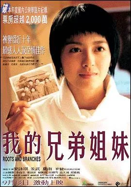 我的兄弟姐妹2001 海报