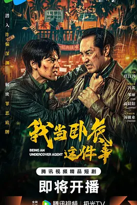 我当卧底这件事 海报