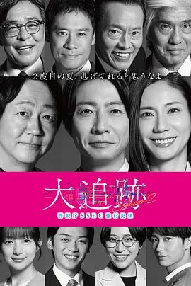 大追踪〜警视厅SSBC强行犯系〜第二季 海报