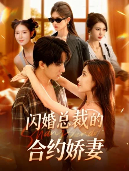 闪婚总裁契约妻 海报