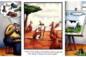 10 Funniest Far Side Comics Starring Kangaroos