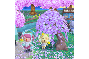 "I Would NEVER Speak To Pekoe That Way": Animal Crossing Pocket Camp Players Acknowledge Their Camp Caretakers' Hard Work