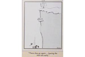 The Far Side Can Be Fun, But These 10 Comics Prove the Series Is Seriously Dark