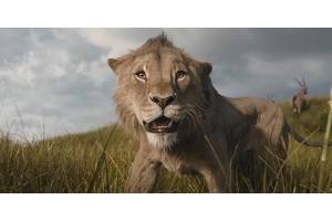 Mufasa Box Office Soars To All-Time Highest Grossing Movies List, Surpassing Emma Stone's Oscar-Winning 2016 Movie