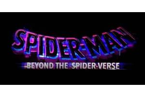 Spider-Man: Beyond The Spider-Verse Gets First 2025 Update From Miles G Morales Actor