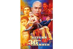 10 Best Kung Fu Movies Directed By Lau Kar-Leung