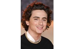 Has Timothée Chalamet Won An Oscar?