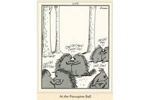 These 10 Far Side Comics Prove Porcupines Are the Best Animal Out There