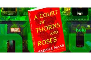 Why Hulu's Court Of Thorns & Roses Show Is No Longer Happening