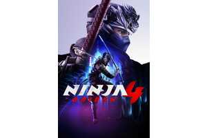 The Future Of Ninja Gaiden Is Going Down Two Very Different Paths