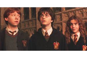 Harry Potter Franchise Director Shares Thoughts On TV Reboot & Addresses Popular Voldemort Fancast