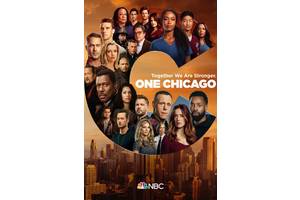 2025's One Chicago Crossover Insults Its Best Show By Underusing Its Characters