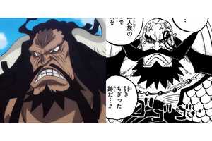 One Piece Cliffhanger Sets Up Kaido's Secret (Royal) Bloodline