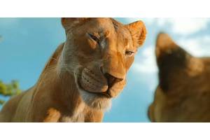 Mufasa Box Office Crosses Huge Global Milestone (Which Is Still Less Than Half Of The Lion King's Total)