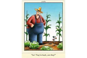 10 Far Side Comics That Will Make You Want to Fix Your Fashion ASAP