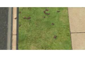The Sims 1: Why You Have Flies & Bugs (& How To Get Rid Of Them)