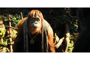 Raka's Emotional Kingdom Of The Planet Of The Apes Death Kept Changing All The Way Up To Release, Reveals VFX Supervisor