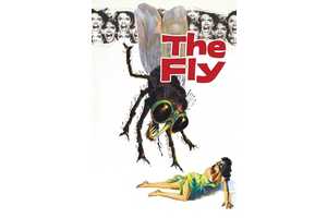 10 Classic Horror Movies That Are Still Extremely Poignant Today