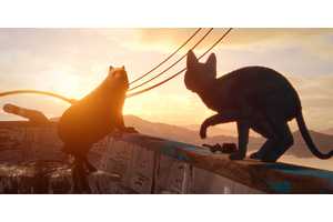Record-Setting Cat Adventure Movie With 97% RT Score Getting Streaming Home In Time For Its Oscar Nominations