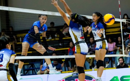 <p><strong>OUTCLASSED.</strong> Shaina Nitura of Adamson University (left) scores off Joseline Salazar (No. 6) and Kary Miranda of National University-Nazareth School during the semifinal of the 2024 Shakey’s Girls Volleyball Invitational League at Paco Arena, Manila on Thursday (June 6, 2024). The Baby Falcons won, 25-19, 25-17, 25-17, to forge a title showdown with Bacolod Tay Tung. <em>(SGVIL photo)</em></p> <p> </p>