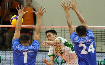 <p><strong>GRACEFUL EXIT.</strong> Philippine Army's Edward Camposano (No. 13) scores against Philippine Air Force defenders Ralph Christian Calasin (No. 1) and James Buytrago (No. 24) at the close of the preliminary round of the Philippine National Volleyball Federation (PNVF) at the Rizal Memorial Coliseum on Wednesday night (Feb. 14, 2024). Army won, 25-19, 25-14, 19-25, 25-14 for a graceful exit in the tournament. <em>(PNVF photo)</em></p>