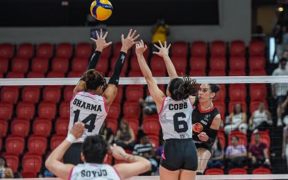 <p><strong>TOUGH MATCH. </strong>PLDT's Savannah Davison (No. 6) scores against Akari's Mereophe Sharma (No. 14) and Michelle Monique Cobb (No. 6) during the Premier Volleyball League All-Filipino Conference preliminary round at the Philsports Arena in Pasig City on April 9, 2024. PLDT will eye a share of top spot when it faces Chery Tiggo on Tuesday (April 16) at 6 p.m. <em>(Contributed photo) </em></p>