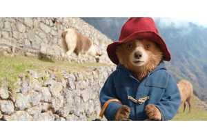 Paddington Franchise's Future After Paddington In Peru Gets Honest Response From Star: "It's Best To Leave People Wanting"