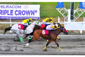 'High Roller' wins Philracom Road to Triple Crown race