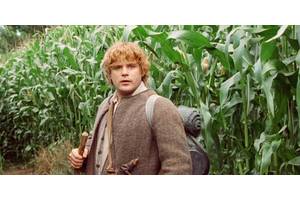 How Long Samwise Gamgee Had The Ring In The Lord Of The Rings