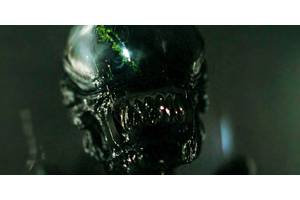 New Alien Vs. Predator Approach (& Why It Might Not Work) Teased By Romulus Director