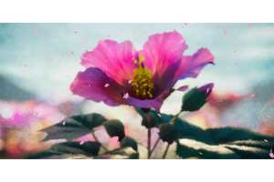 Okami 2 Will Be Made In RE Engine, But Fans Are Concerned About What That Means For Overall Performance