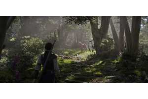 Fable Has Been Delayed Until 2026 According To Head Of Xbox Game Studios Craig Duncan