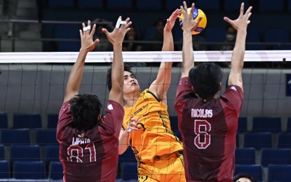 <p><strong>DUNK.</strong> Far Eastern University's Dryx Saavedra tries to score against University of the Philippines' Daniel Nicolas (No. 5) and Angelo Lipata (No. 21) during the UAAP Season 87 men's volleyball tournament at Smart Araneta Coliseum in Quezon City on Sunday (April 6, 2025). The Tamaraws won, 25-19, 25-21, 20-25, 29-31, 15-12, to book the first semifinal slot. (<em>UAAP photo)</em></p>