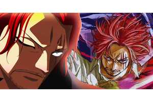 Did One Piece Just Drop the Perfect Spinoff Pitch? Because I Need to See This Anime