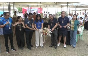 Festival to promote Antique as a dive destination