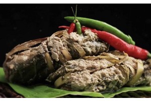 Albay town revives 'Pinangat' festival