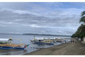 P6-M boat enhancement project boosts 'butanding' tourism in Sorsogon