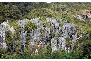 PH as premier destination for int’l screen productions pushed