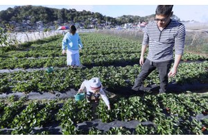 DOT-Cordillera: Provide experiential tourism to sustain gains