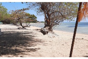 Long weekend ahead: Leisure trips to consider just outside NCR