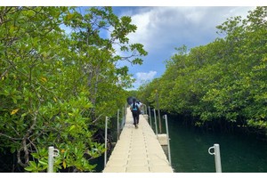Exploring the ecological gem of Surigao: Day-asan Mangrove Forest